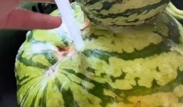 吃瓜视频大全声音