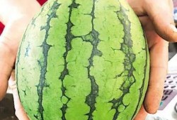 青岛地铁吃瓜墙在线吃瓜