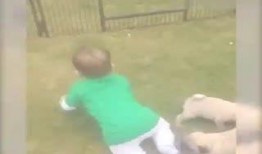 搞笑的吃瓜场面,让你捧腹大笑