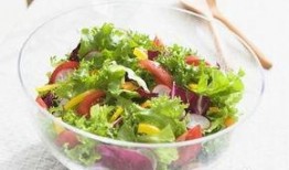 小狗吃白菜小瓜,小狗的白菜小瓜美食之旅