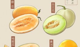 阳春白雪吃瓜,阳春白雪品瓜趣谈