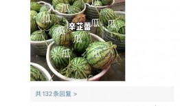 圈内爆料吃瓜,揭秘明星背后的惊人真相！