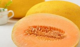 吃完皮蛋吃哈密瓜,美味邂逅，口感盛宴