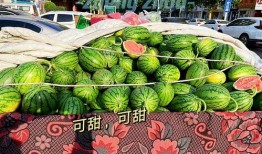 郑州吃瓜影视公司,揭秘娱乐圈幕后那些事儿