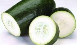 热门各种吃瓜视频,娱乐圈幕后真相大曝光！