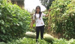 新密大瓜吃瓜群众视频在线观看,吃瓜群众视频在线观看，精彩瞬间一网打尽