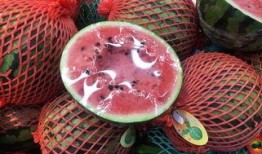 月下独吃瓜,品味人生百态