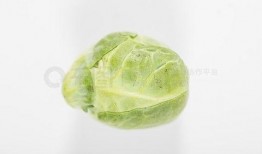 网友吃瓜素材下载