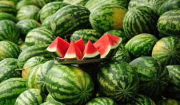 瓜不能挖着吃,品味自然之美——探索瓜类美食文化