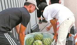 江苏农林吃瓜,吃瓜群众的田园生活