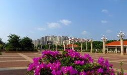 梅县人民广场吃瓜,夏日炎炎，吃瓜群众欢乐多