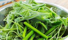 瓜头尖怎么吃,解锁美味新体验