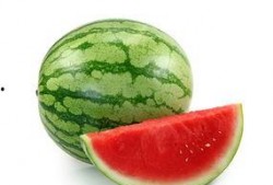 莱芜吃瓜事件模板,一场引发全民热议的“瓜农”维权风波