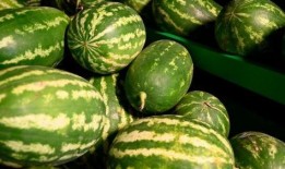 徽县吃瓜事件,一场网络热议背后的真相探寻