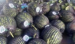 海南人吃瓜,瓜果飘香，尽享热带美食盛宴