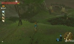 塞尔达 吃瓜npc,荒野之息中的神秘吃瓜NPC揭秘！