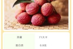 荔枝吃瓜小说全文阅读