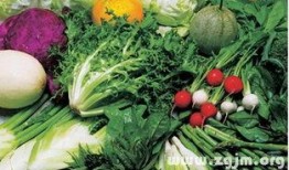 梦见自己瓜地吃瓜,揭秘瓜地吃瓜的神秘寓意