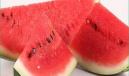 吃瓜穷海,揭秘娱乐圈背后的辛酸与真相