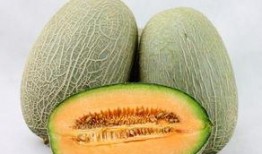 吃冰红茶可以吃哈密瓜,夏日消暑新风尚