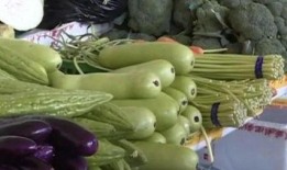 胖子吃瓜中了毒,揭秘瓜果安全与饮食健康