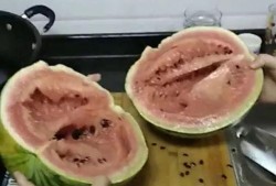 吃瓜花10块,揭秘美食背后的故事