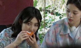 高颜值吃瓜,带你领略美食与颜值的双重盛宴