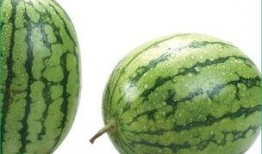 吃瓜过敏原因,原因与预防措施全解析