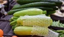 不用钱吃瓜,探索不用钱吃瓜的奇妙之旅