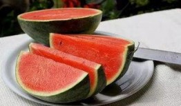 消防吃瓜接连中,揭秘背后真相与反思