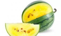 瓜了个瓜吃瓜瓜