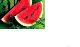 莱芜吃瓜事件模板,一场引发全民热议的“瓜农”维权风波