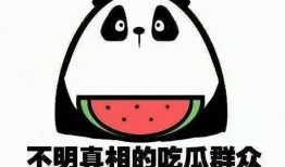 吃瓜群众头条,揭秘娱乐圈最新热点事件