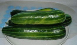 吃块瓜解渴图片,一瓜解千渴——探寻吃瓜解渴的神奇魅力