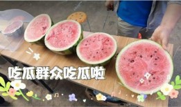 最近天天吃瓜,揭秘娱乐圈那些鲜为人知的幕后故事