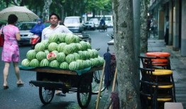 路边吃瓜的青蛙