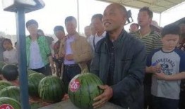 西街吃瓜群众事件,一场网络舆论的风暴与反思