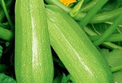 李大师的吃瓜视频,揭秘娱乐圈幕后真相