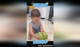 装萌吃瓜,揭秘娱乐圈的“萌宠”与“瓜王”