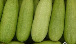 健身可以吃白瓜吗,白瓜是理想的健康食品选择