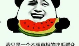 吃瓜群众不挑瓜的意思和造句,随遇而安的生活态度