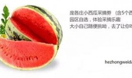 吃瓜偷禾,揭秘农村生活中的趣味与智慧