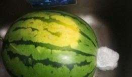 吃吐的瓜,那些吃吐的瓜背后的真相