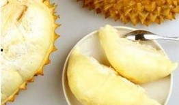 吃榴莲瓜吗,独特的热带水果，你敢尝试吗？