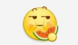 一对一吃瓜是啥意思,网络流行语的趣味解读