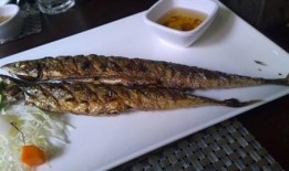 牛奶秋刀鱼吃瓜群,探寻美食与社交的奇妙融合