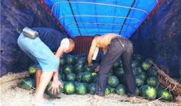 新密大瓜吃瓜群众视频在线观看,吃瓜群众视频在线观看，精彩瞬间一网打尽