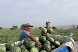 西昌吃瓜达达春天