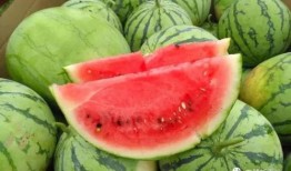 911今日吃瓜爆料,娱乐圈最新猛料大曝光！