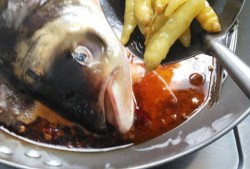 胖头鱼吃瓜,一场趣味横生的夏日盛宴